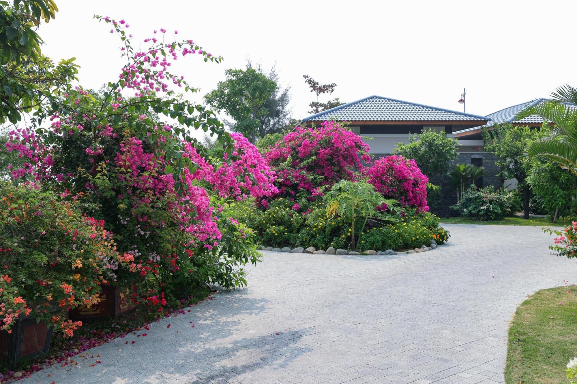 Hoan My Resort - Ninh Chu Phan Rang Exteriör bild
