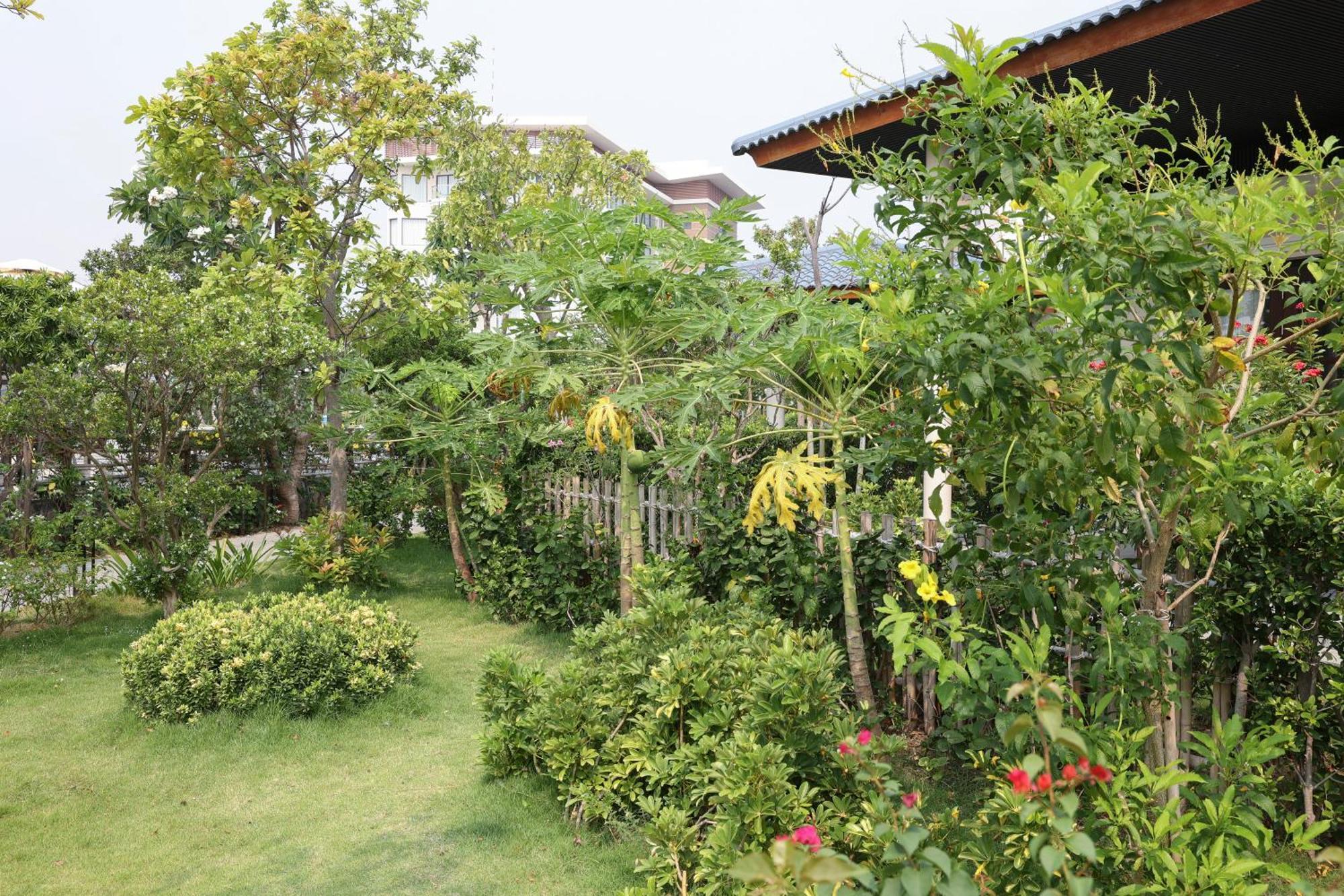 Hoan My Resort - Ninh Chu Phan Rang Exteriör bild